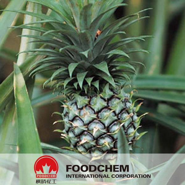 Pineapple Extract suppliers